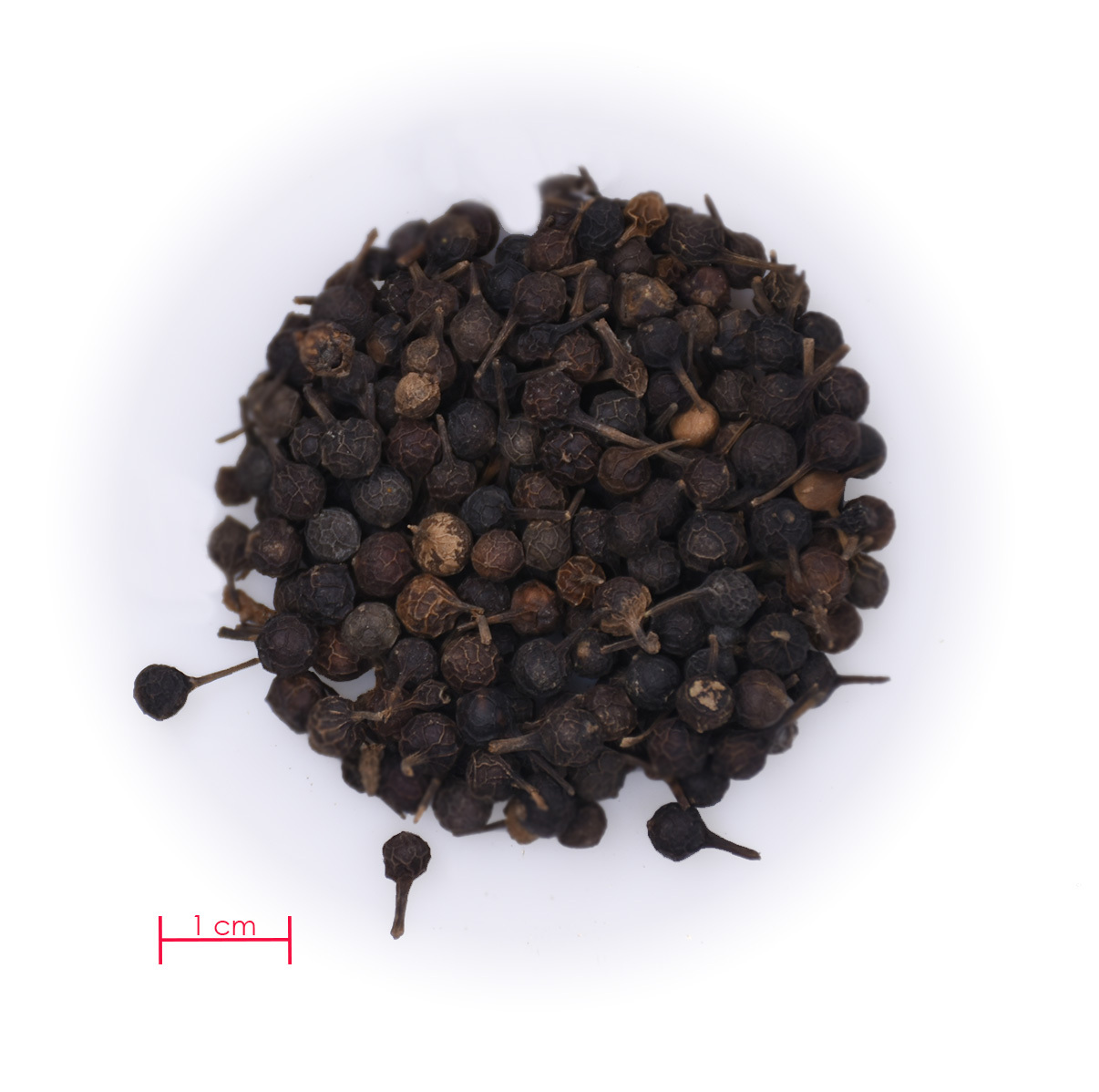 Cubeb peper_2