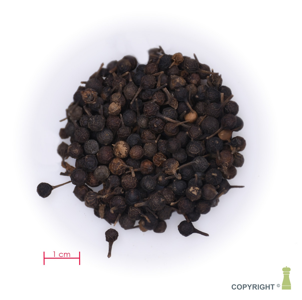 Cubeb peper