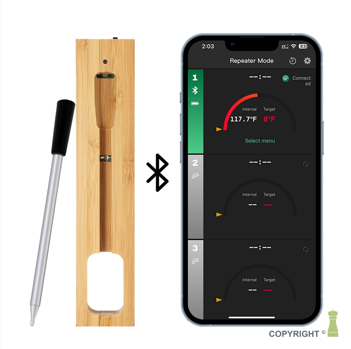 Meat thermometer