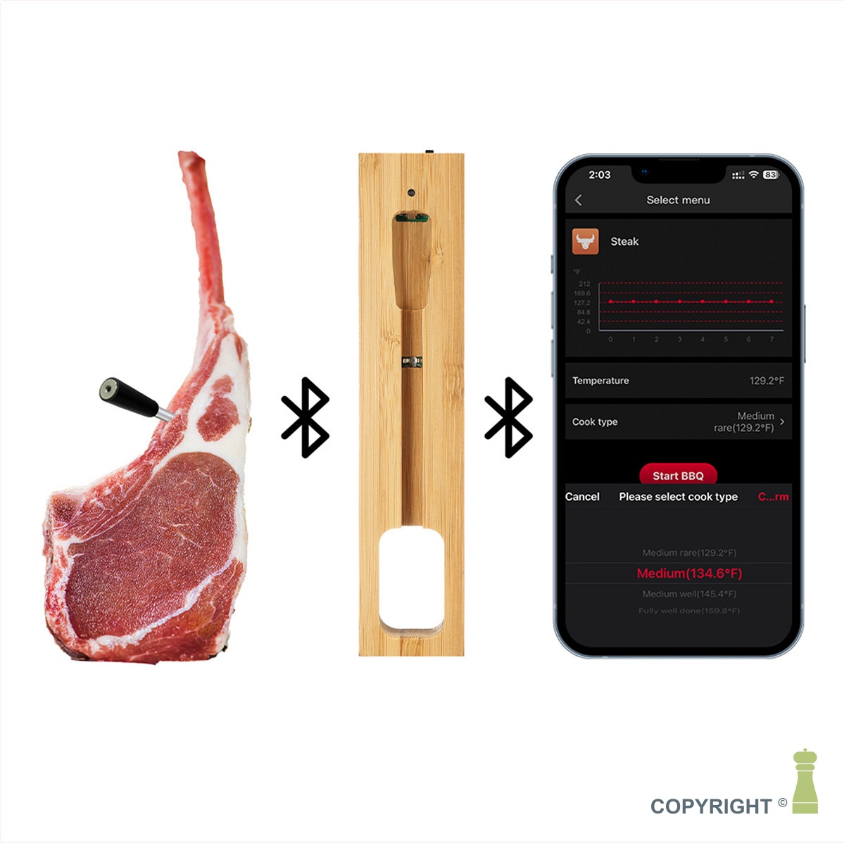 Meat thermometer